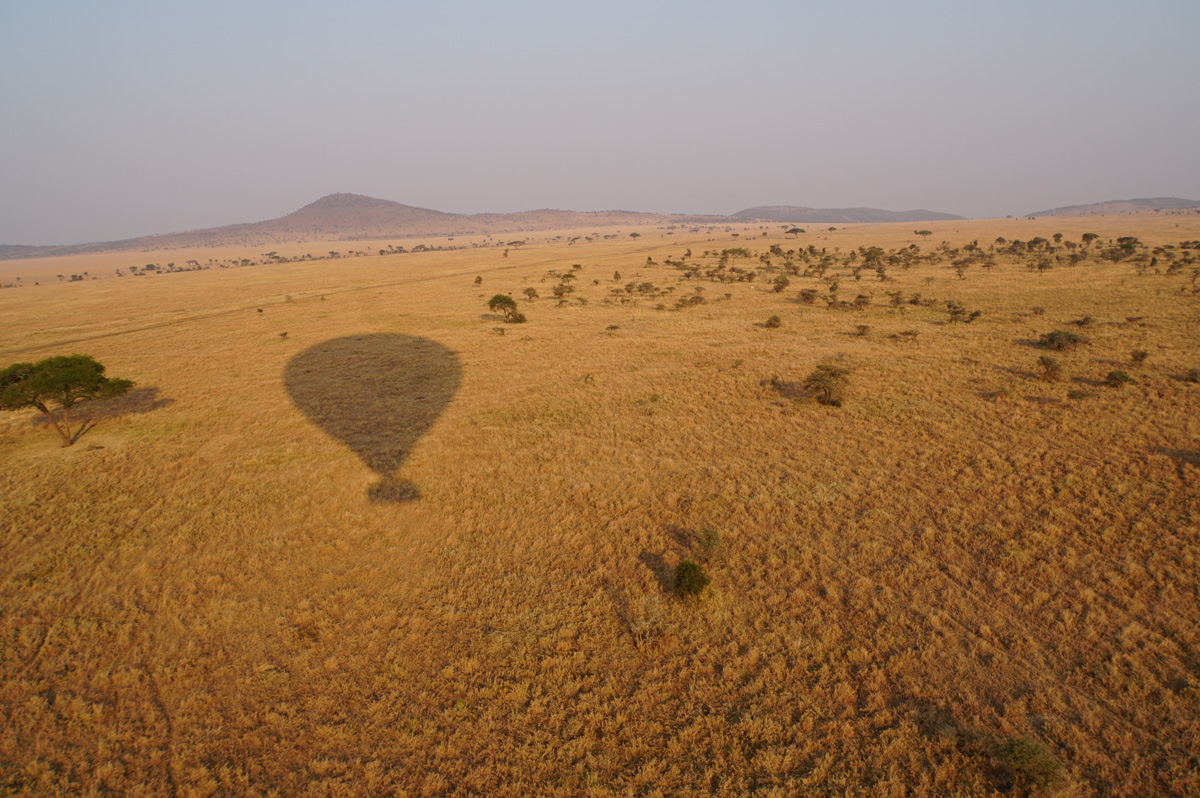 Balloon Safari