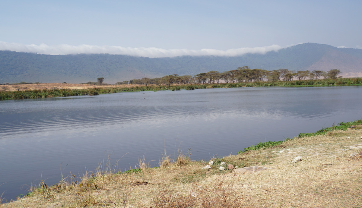 Tanzania 2016 - Ngorongoro Crater, Lake Makat