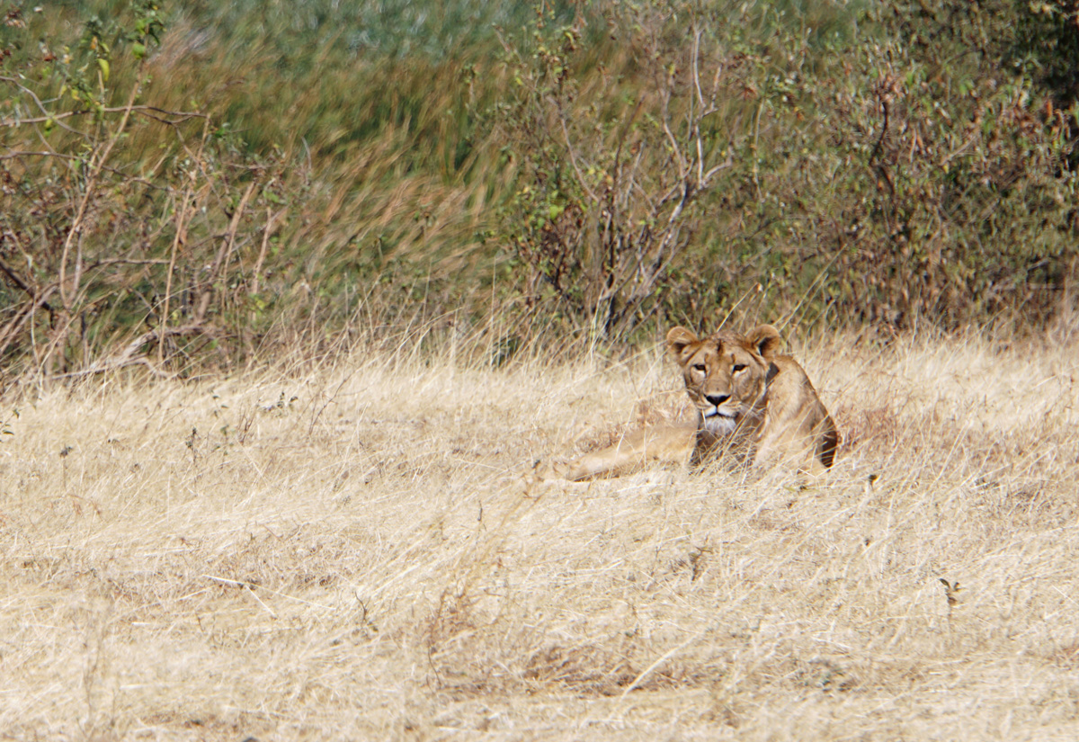 Tanzania 2016 - Ngorongoro Crater
