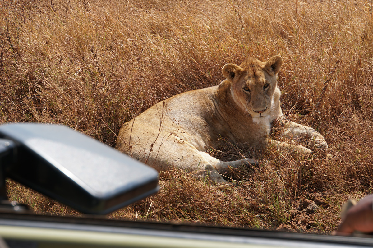 Tanzania 2016 - Ngorongoro Crater