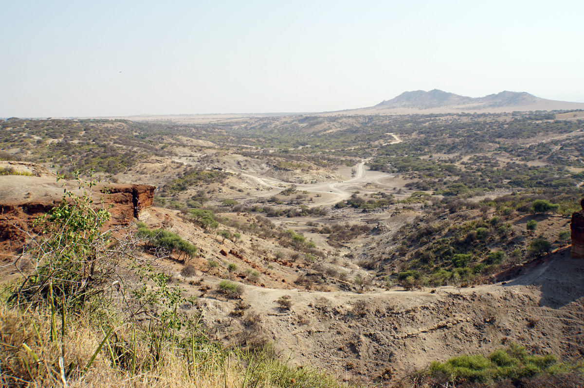 Olduvai Gorge, Olduvai Gorge