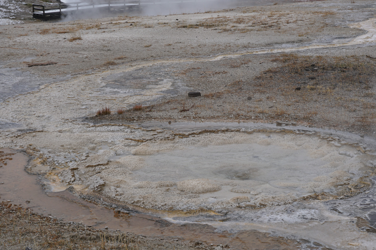 Anemone Geyser, Anemone Geyser: Filling