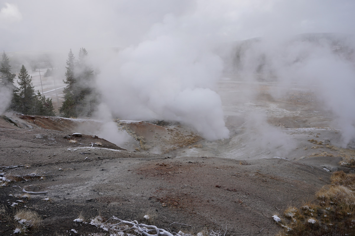 Norris Geyser Area