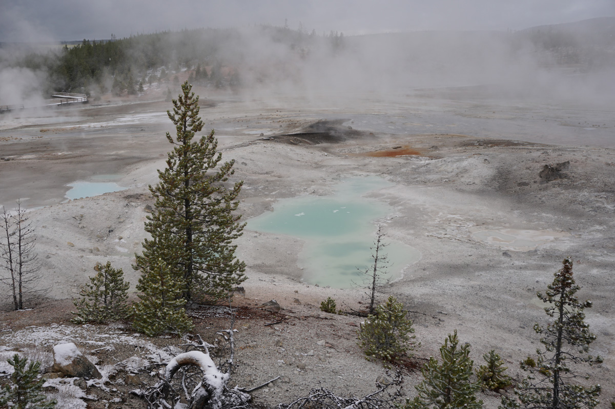 Norris Geyser Area