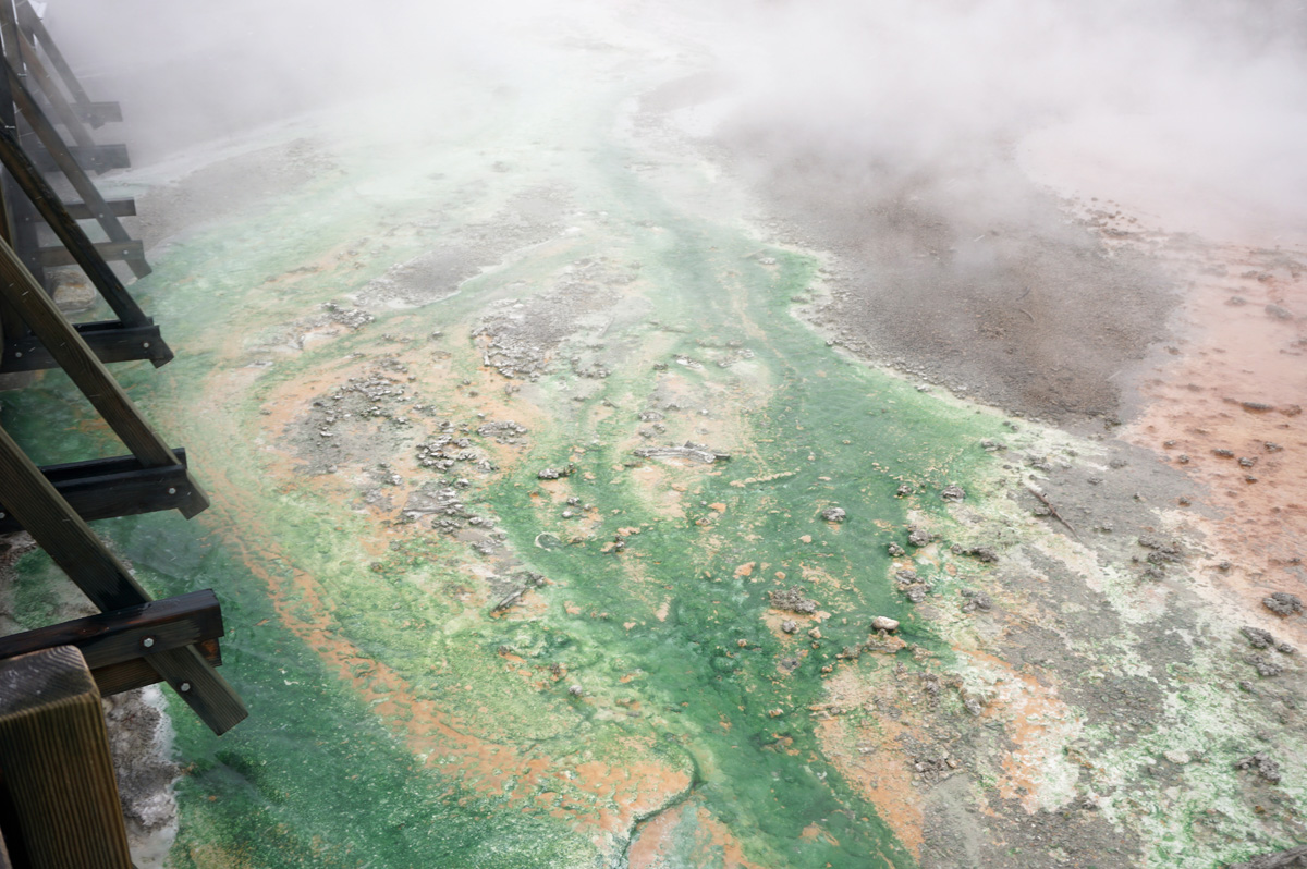 Norris Geyser Area, Porcelain Basin: Colorful runoff