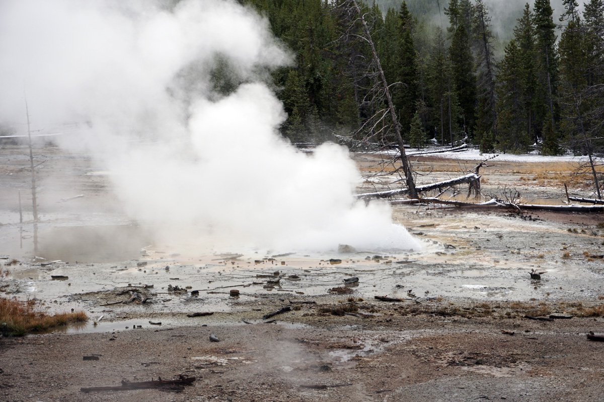 Norris Geyser Area