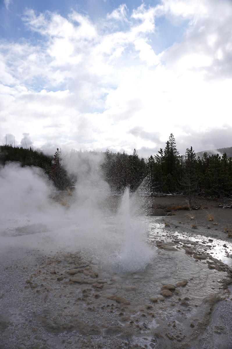 Norris Geyser Area, A small, anonymous, rapid-fire geyser This was great fun to watch.