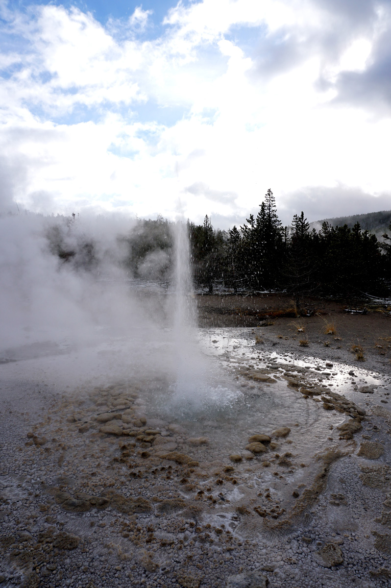 Norris Geyser Area
