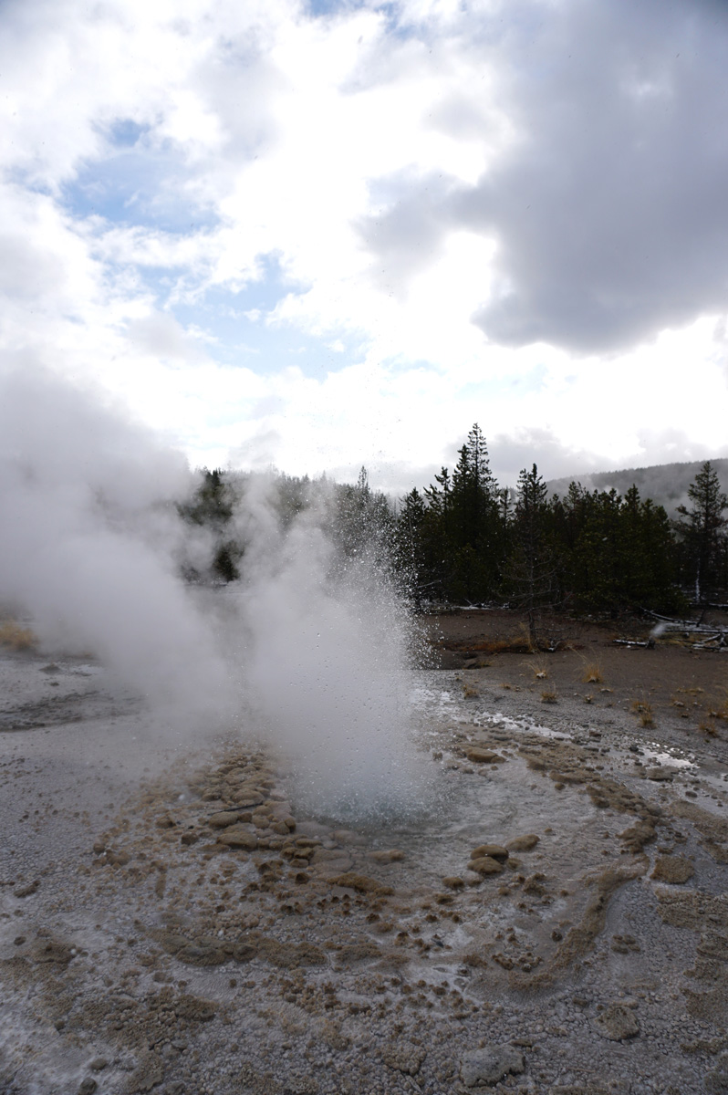Norris Geyser Area