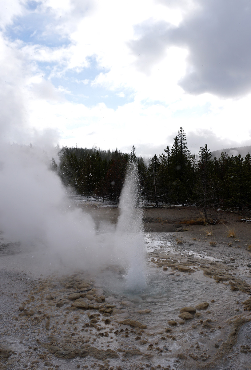 Norris Geyser Area