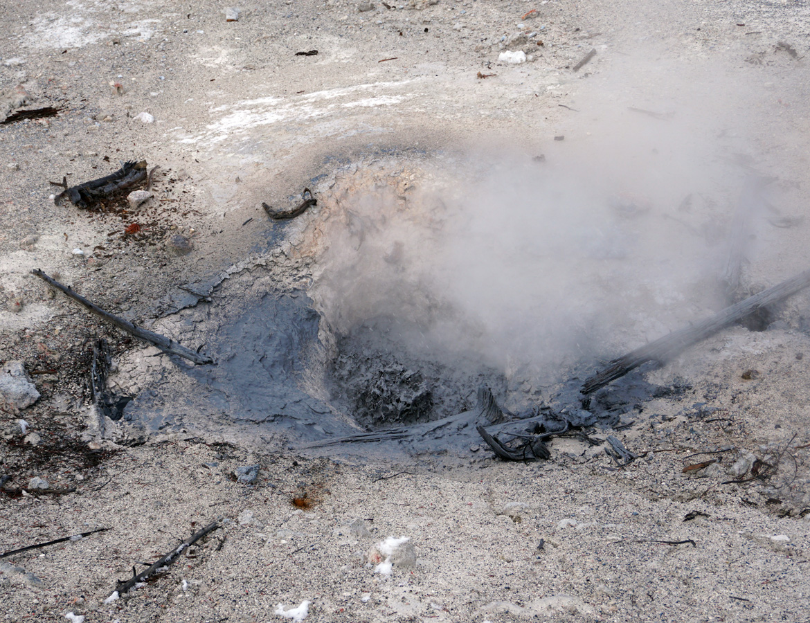 Norris Geyser Area, Bubbling black mud pot