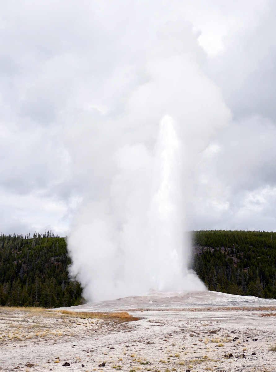 Old Faithful