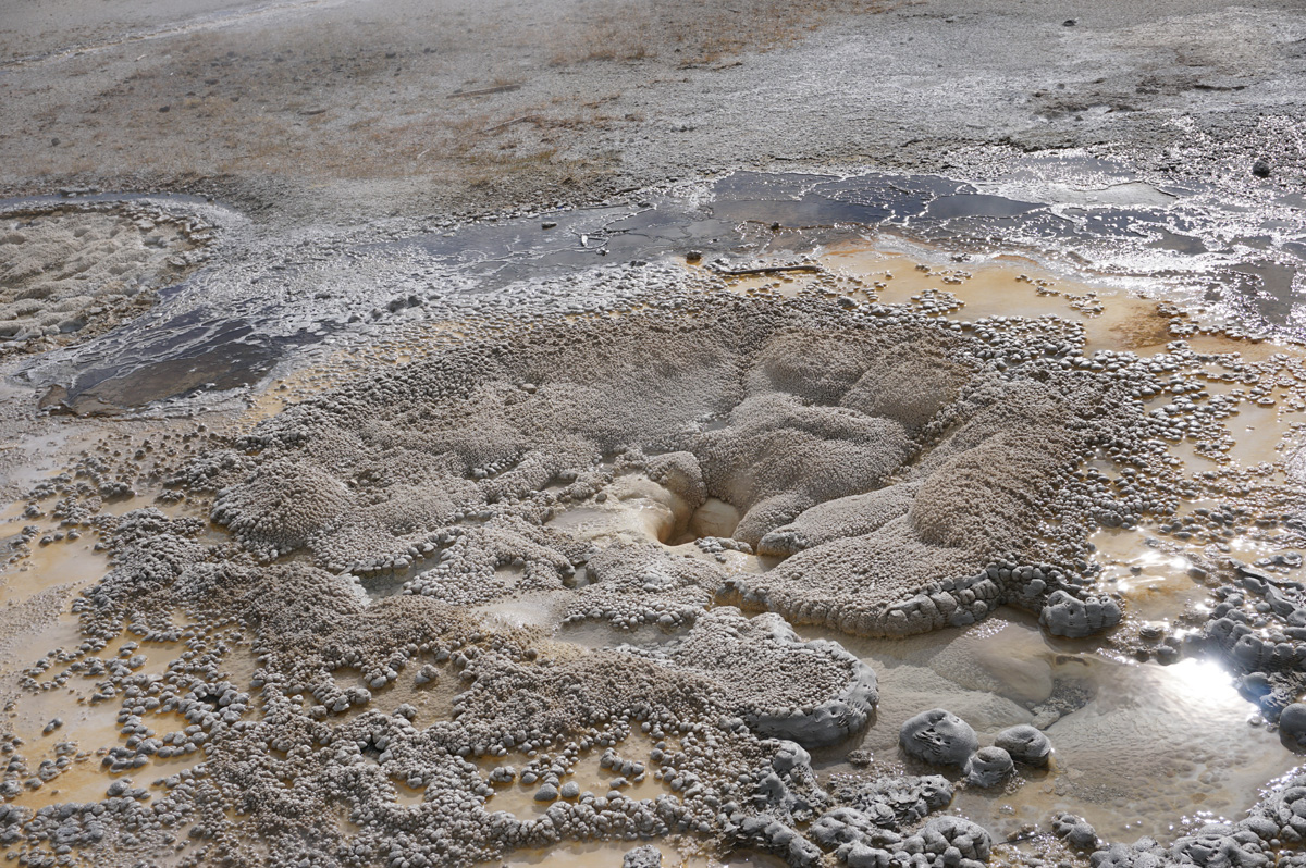 Anemone Geyser, Anemone Geyser: Empty
