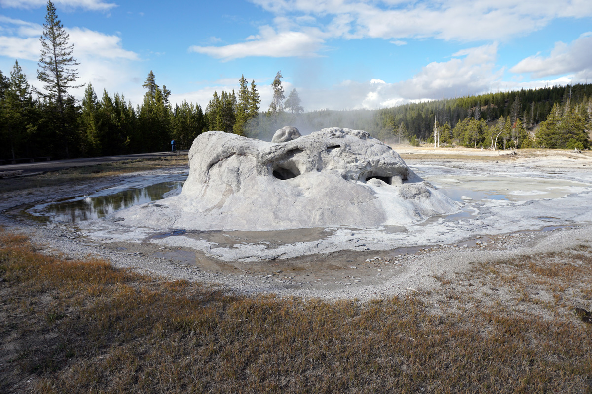 Upper Geyser Basin, Grotto Geyser