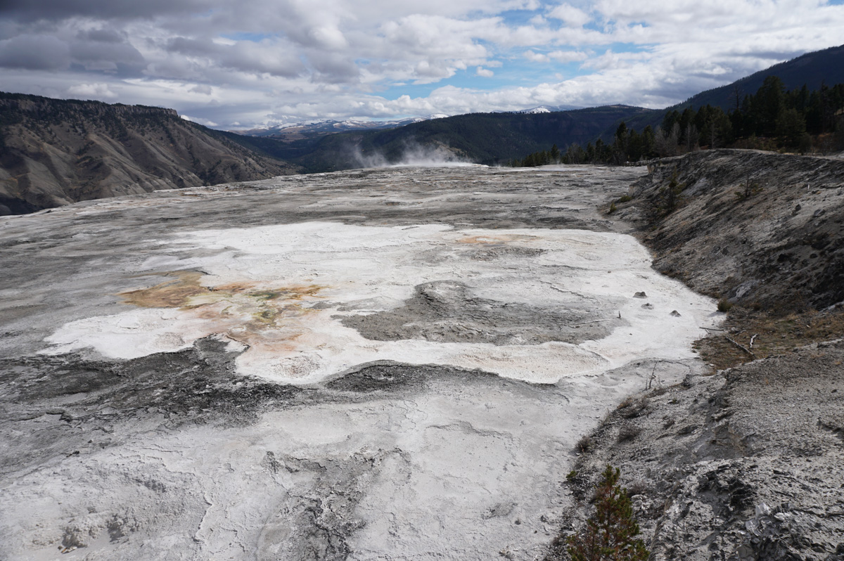 Mammoth&nbsp;Springs