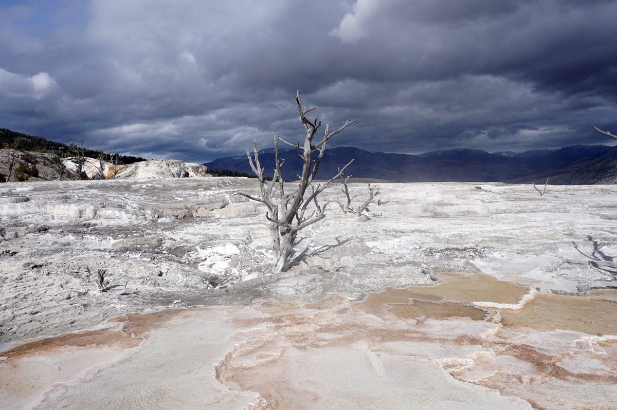 Mammoth&nbsp;Springs