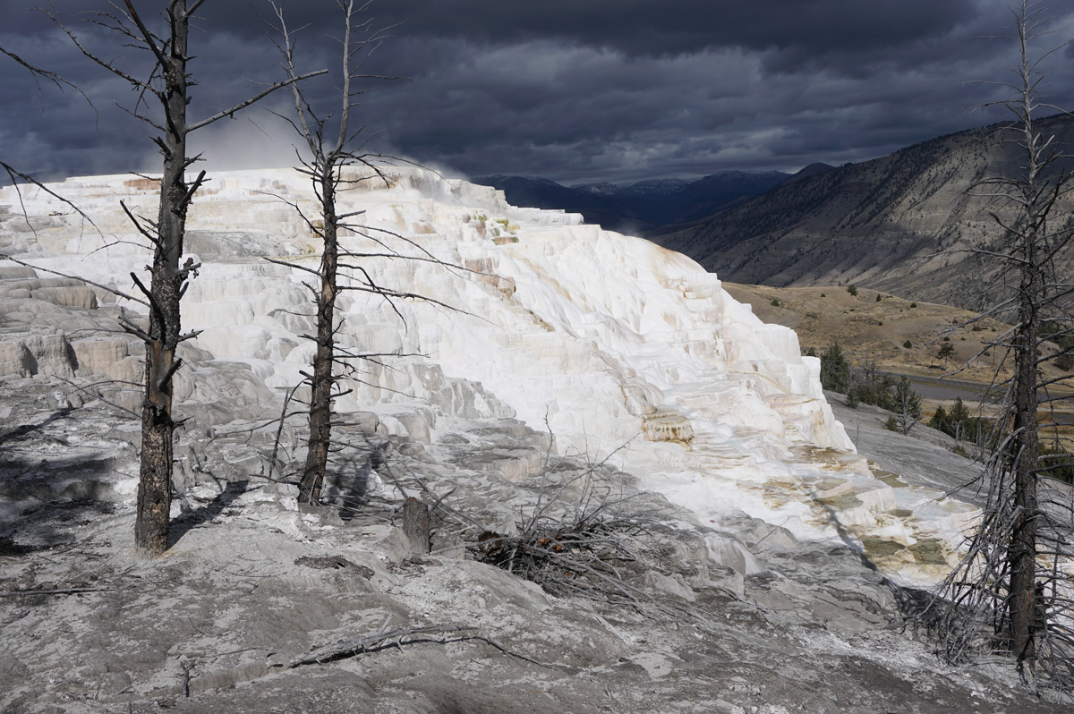Mammoth&nbsp;Springs