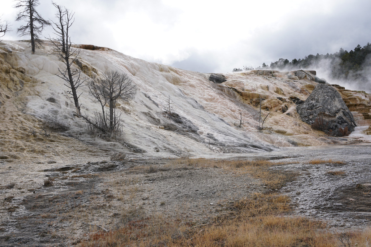 Mammoth&nbsp;Springs