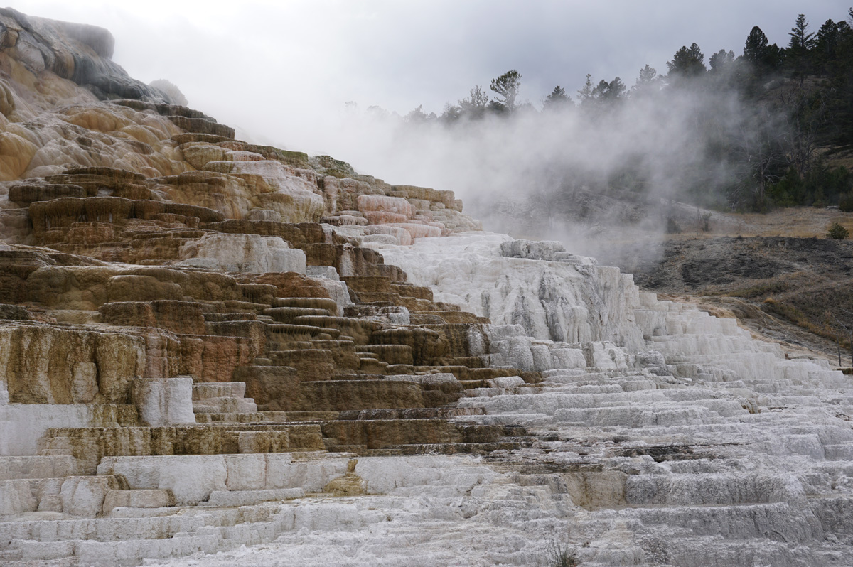 Mammoth&nbsp;Springs