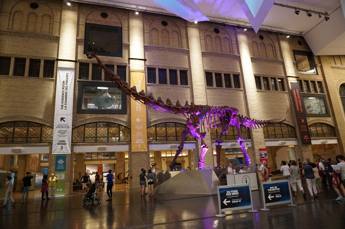Royal Ontario Museum