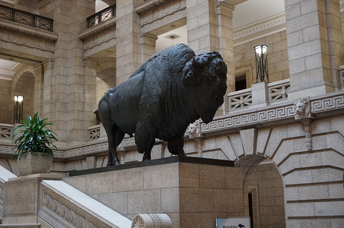 Winnipeg, Guardian Buffalo
