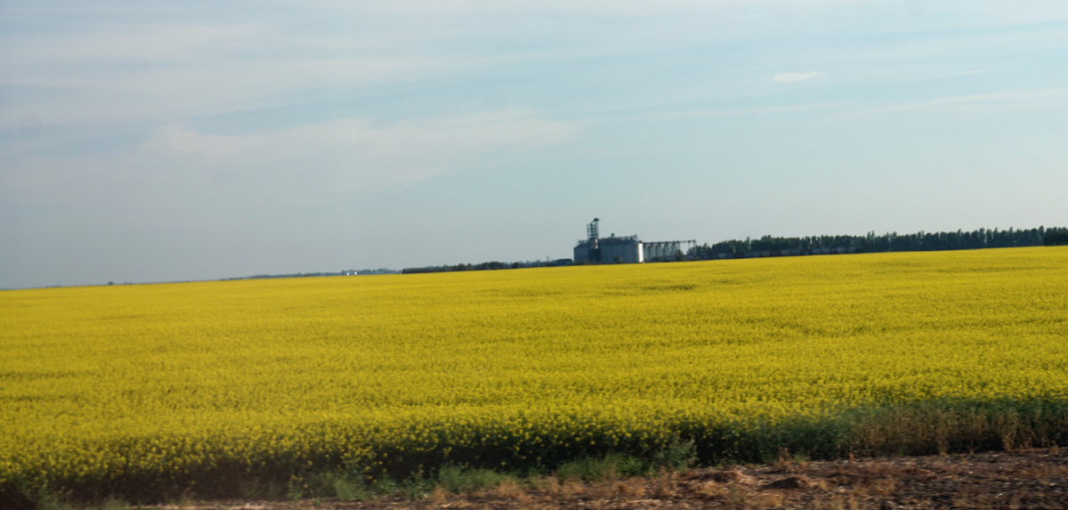 Winnipeg‑Vancouver, 215 miles East of Edmonton