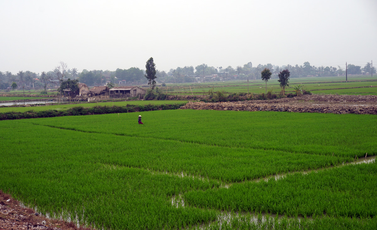 Hanoi to Hue, 96 miles South of Hanoi