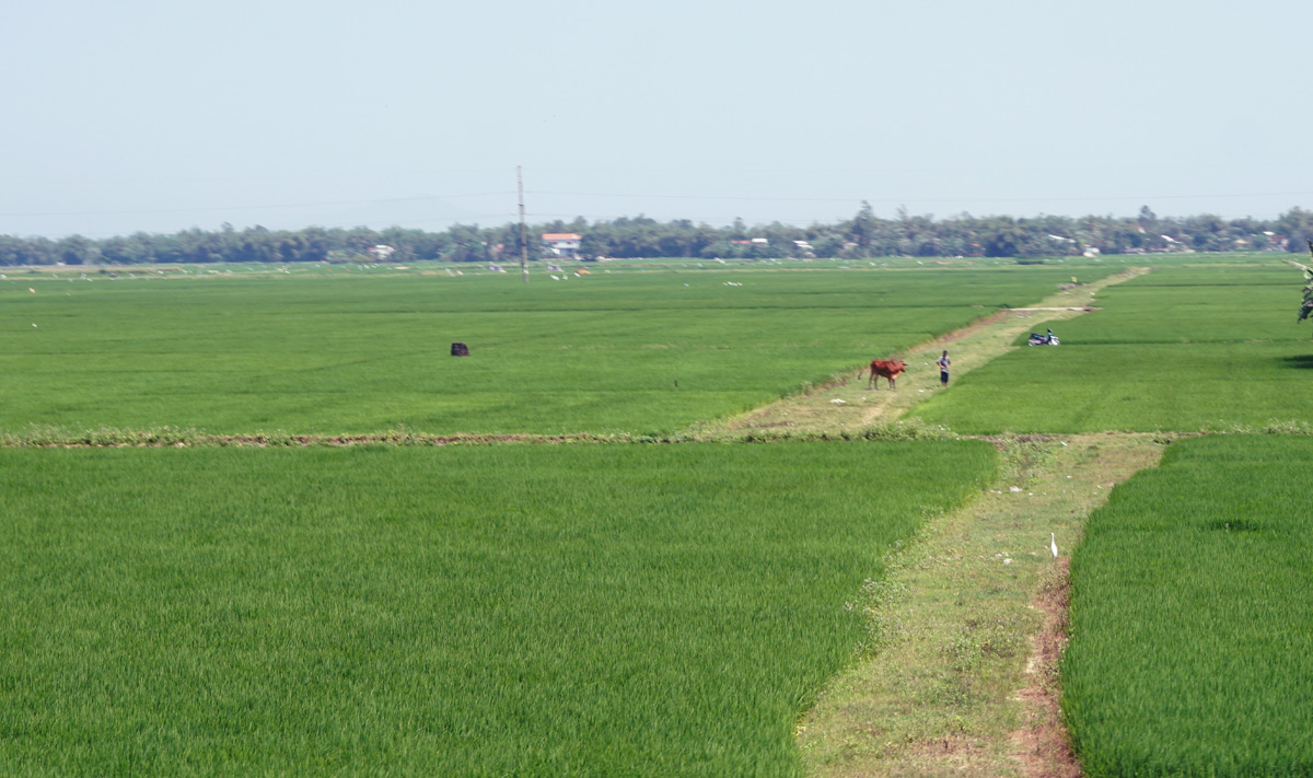 Hue to Nha Trang, 56 miles SE of Hue