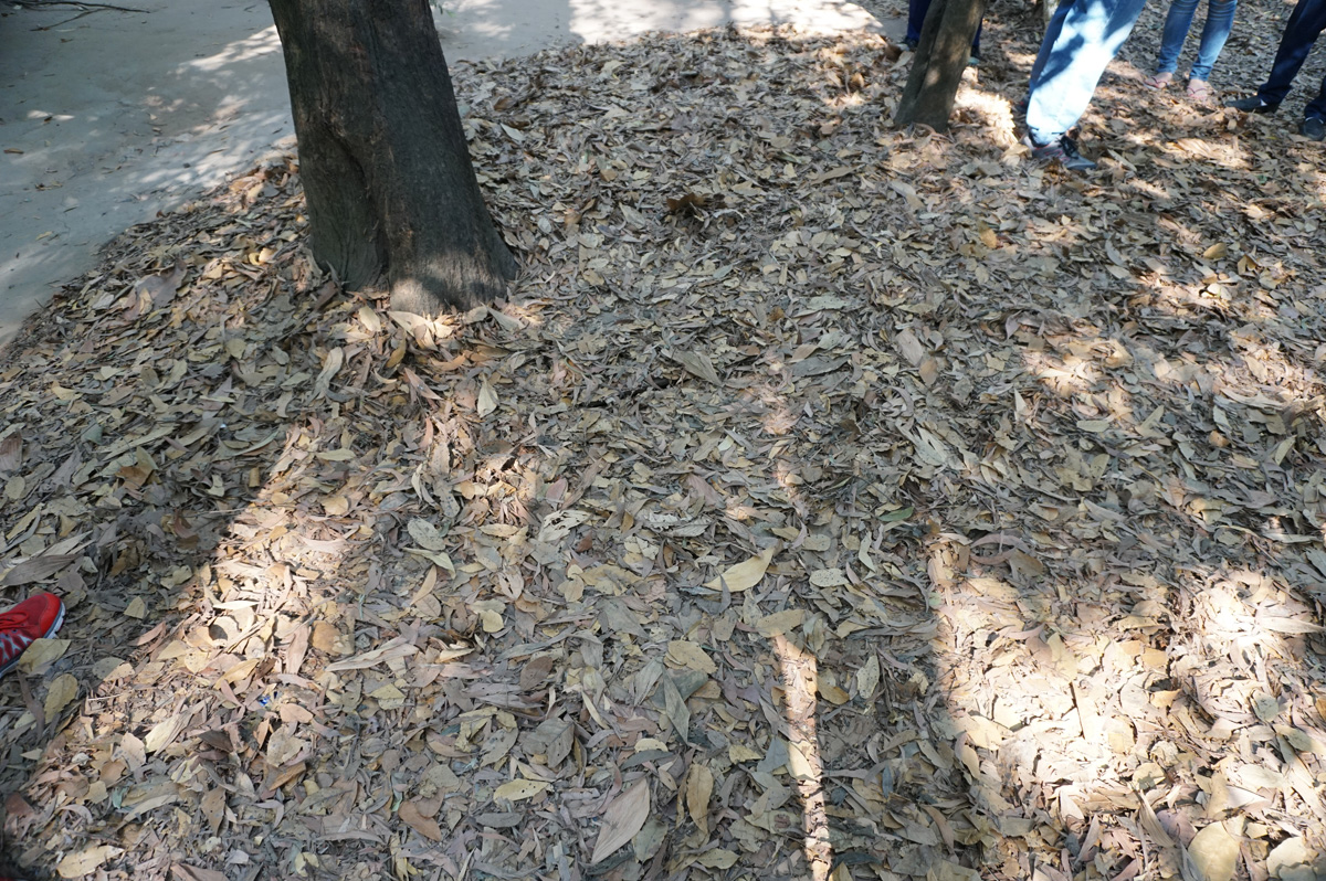 Cu Chi Tunnels