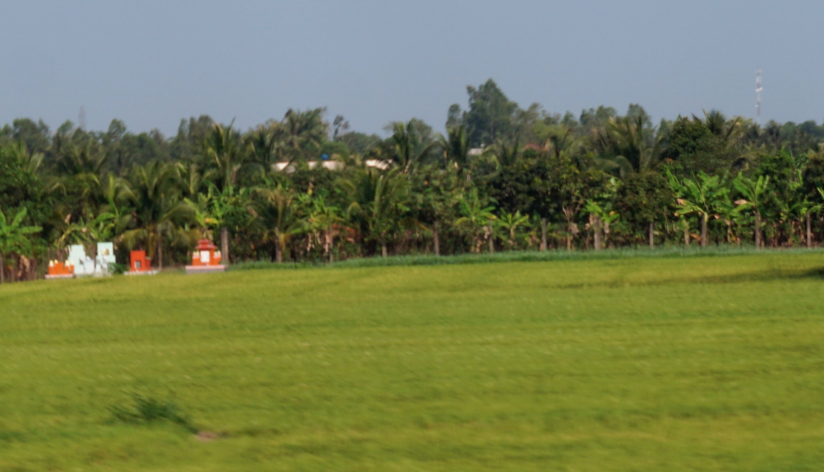 Mekong Delta Tour