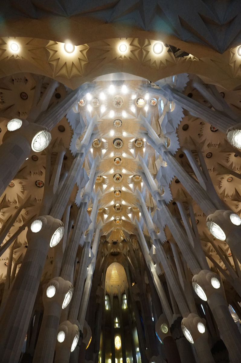 Sagrada Familia, Looking up...