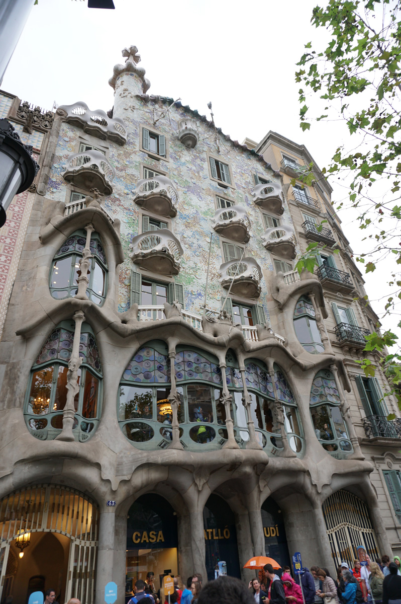 Casa Batlló, Bone Windows