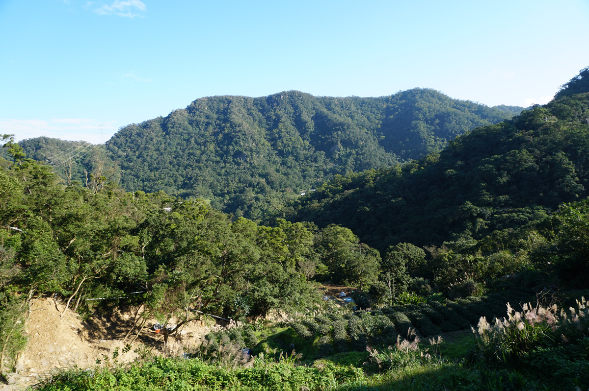 Taipei 2017, Maokong: tea house view