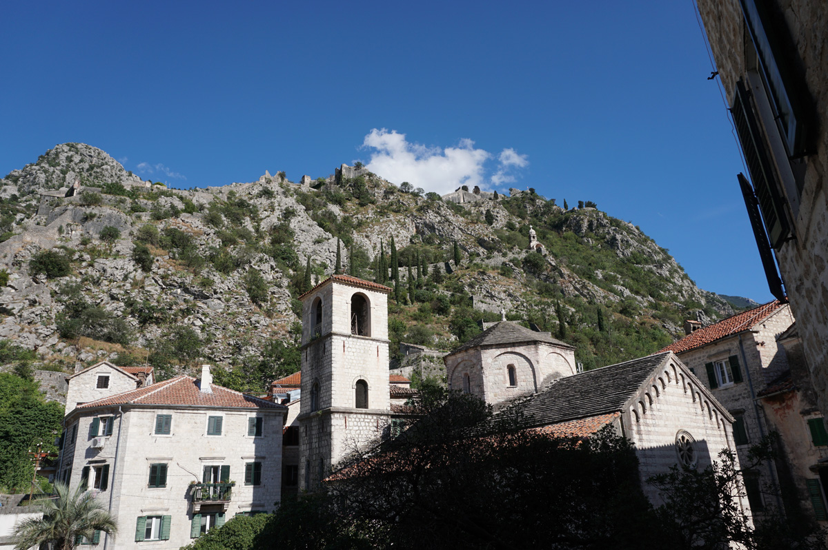 Montenegro: Kotor, View to hilltop fortress