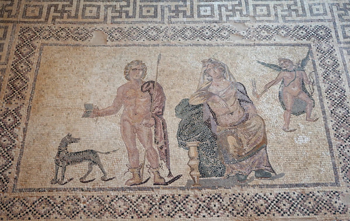 Pafos Archaeological Site, House of Dionysus