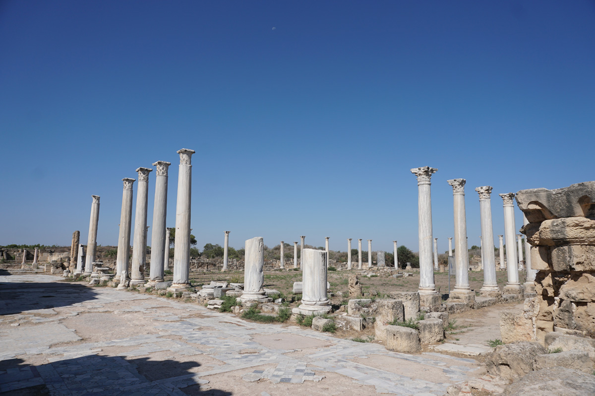 Ancient Salamis, Gymnasium