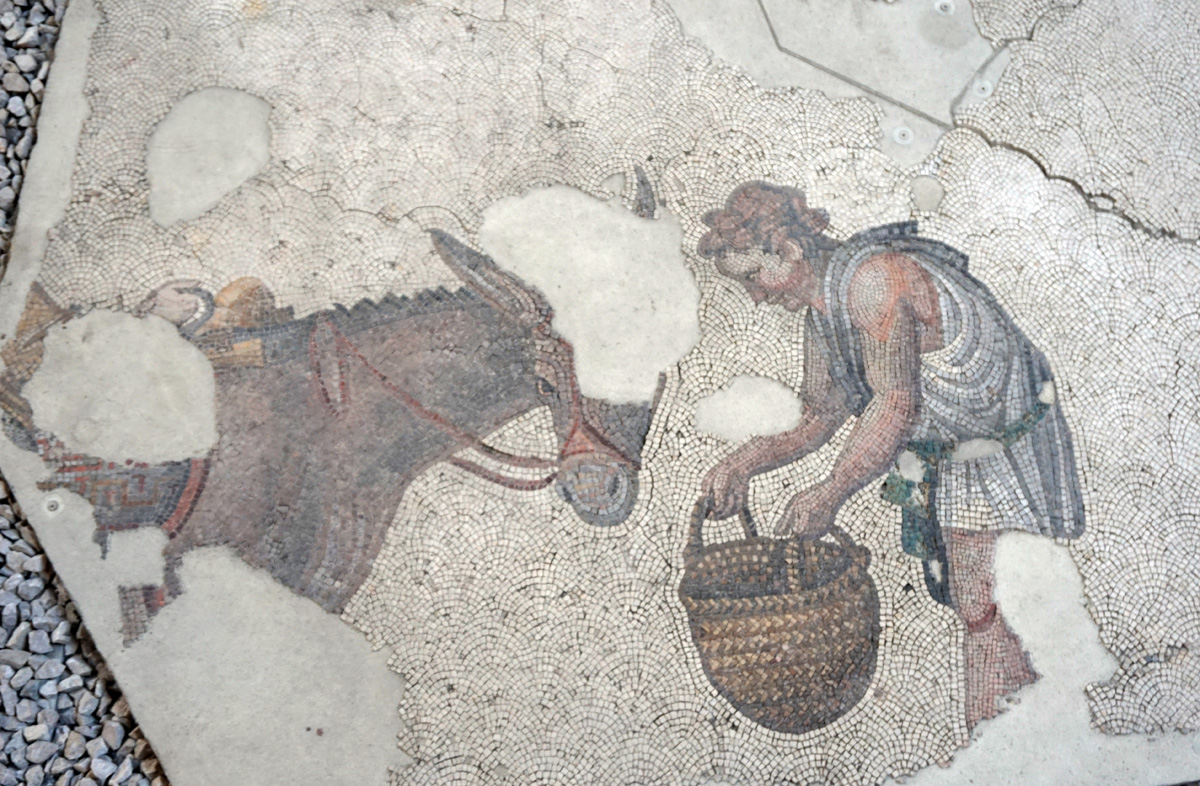 Mosaic Museum