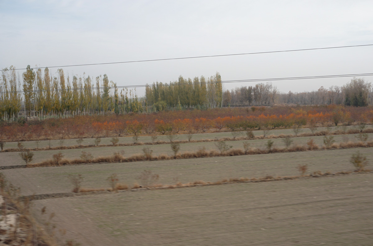 Failed Trip to Yarkand, Near Yarkand