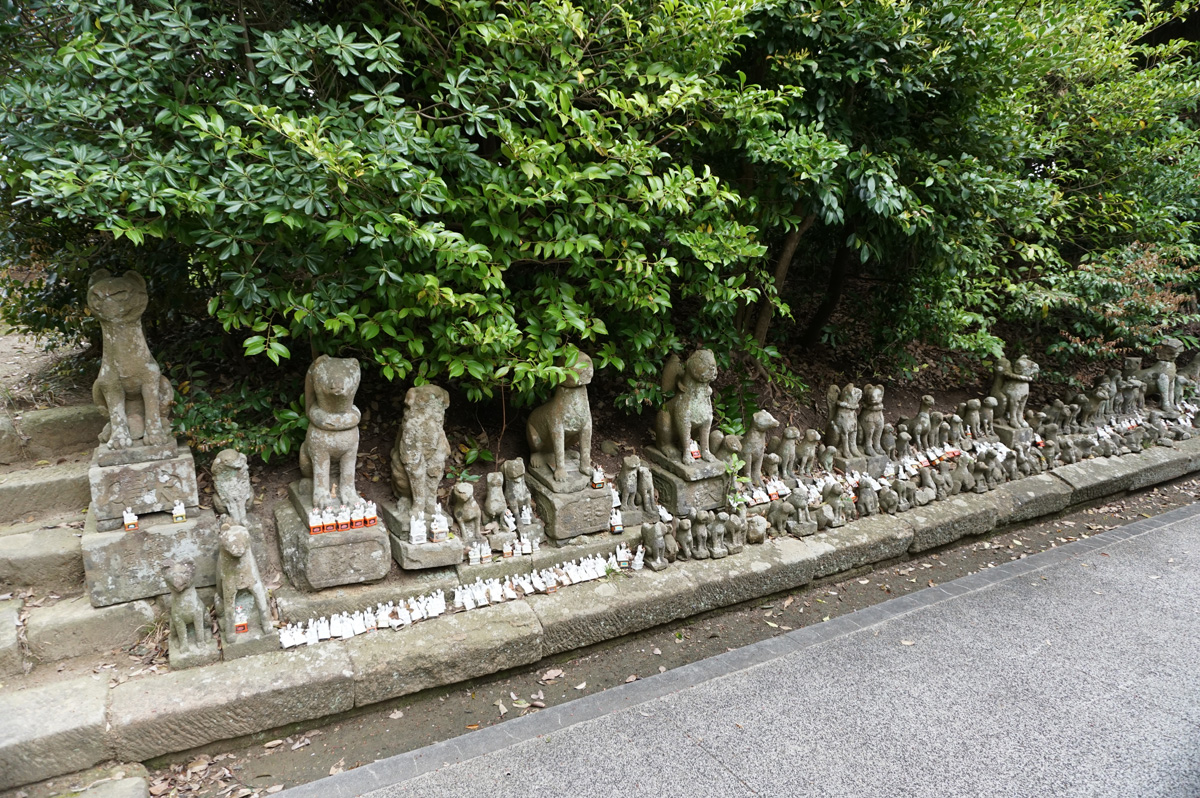 Matsue: Jozan-Inari-Jinja Shrine, Many, many, fox statues