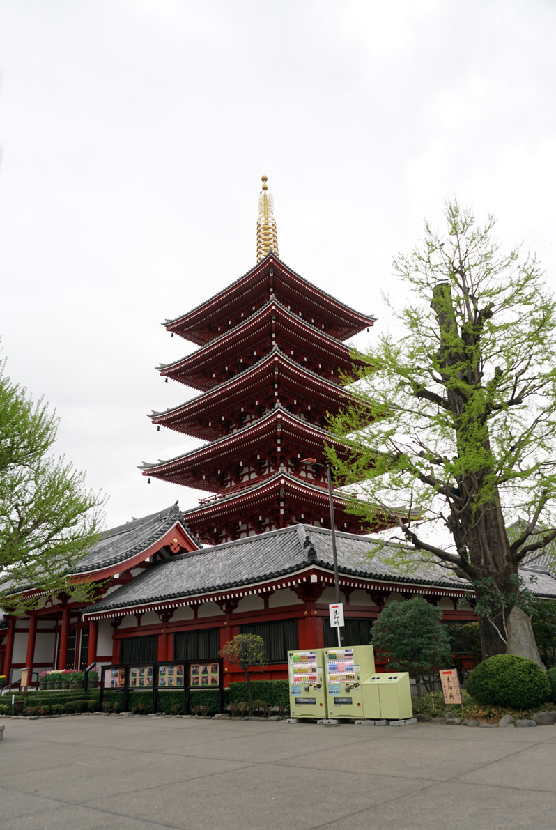 Tokyo: Senso-ji Shrine