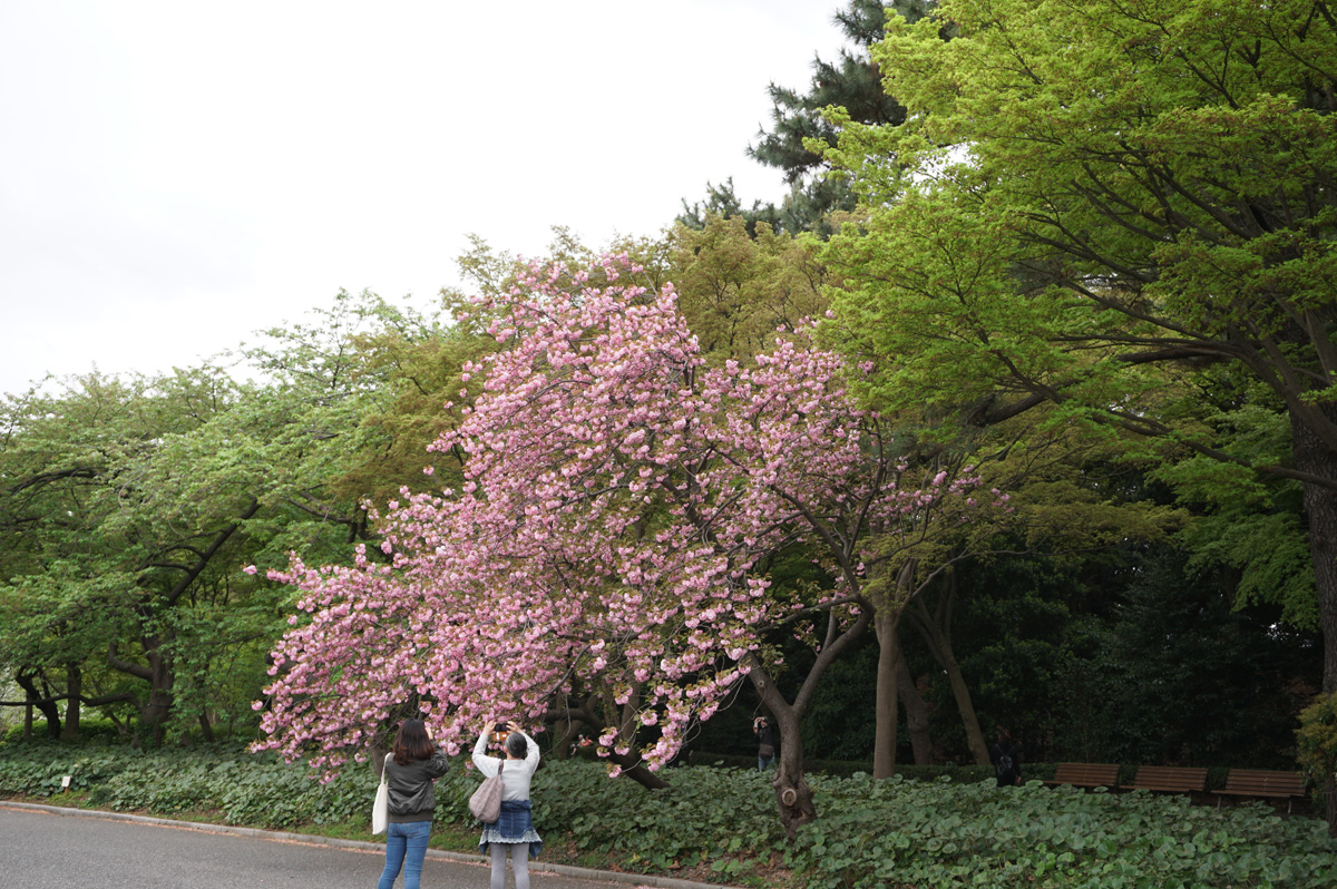 Tokyo-jo Castle Remnants