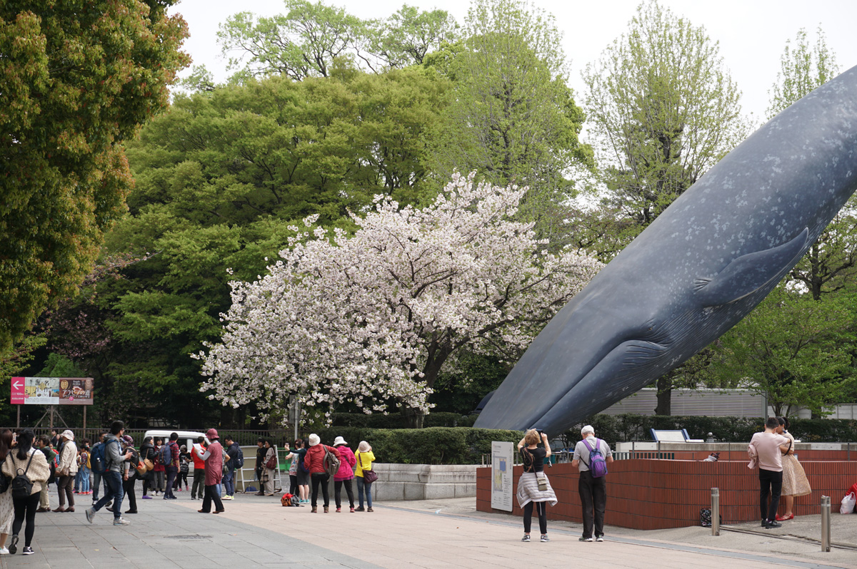 Tokyo: National Museum