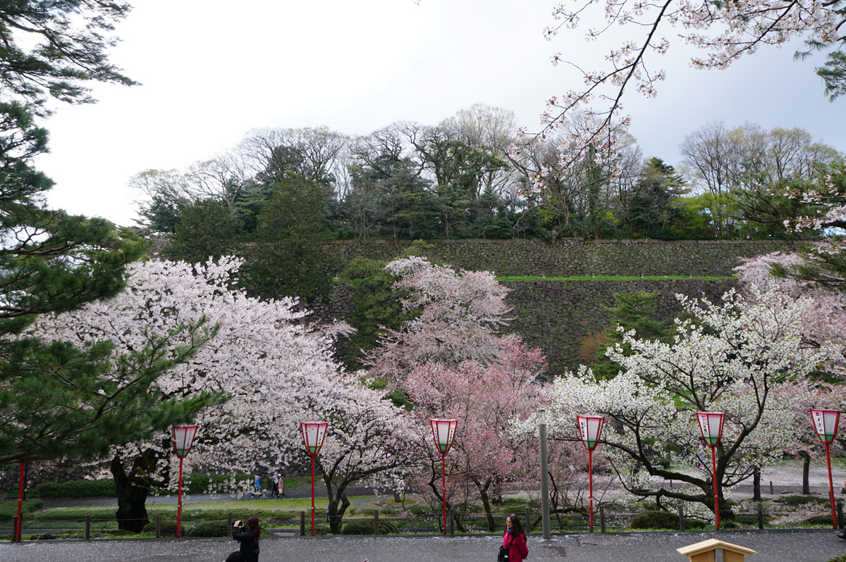 Kenroku-en Gardens, Castle from Kenroku-en Gardens