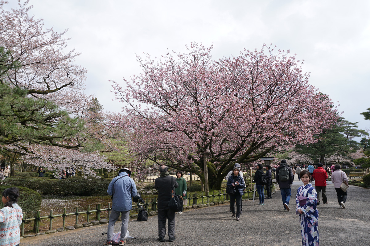 Kenroku-en Gardens