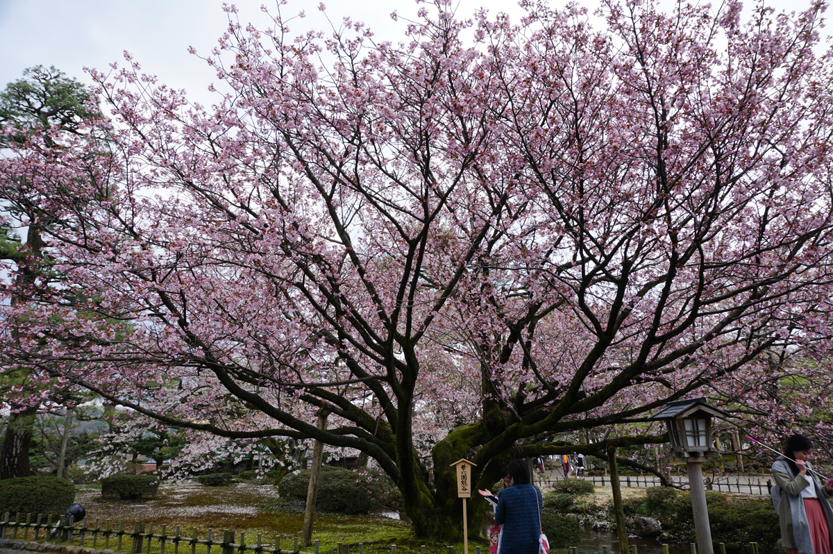 Kenroku-en Gardens