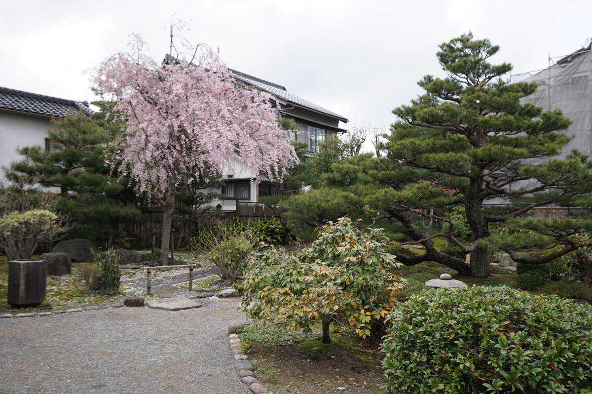 Old Samuari District, Takada family house: garden