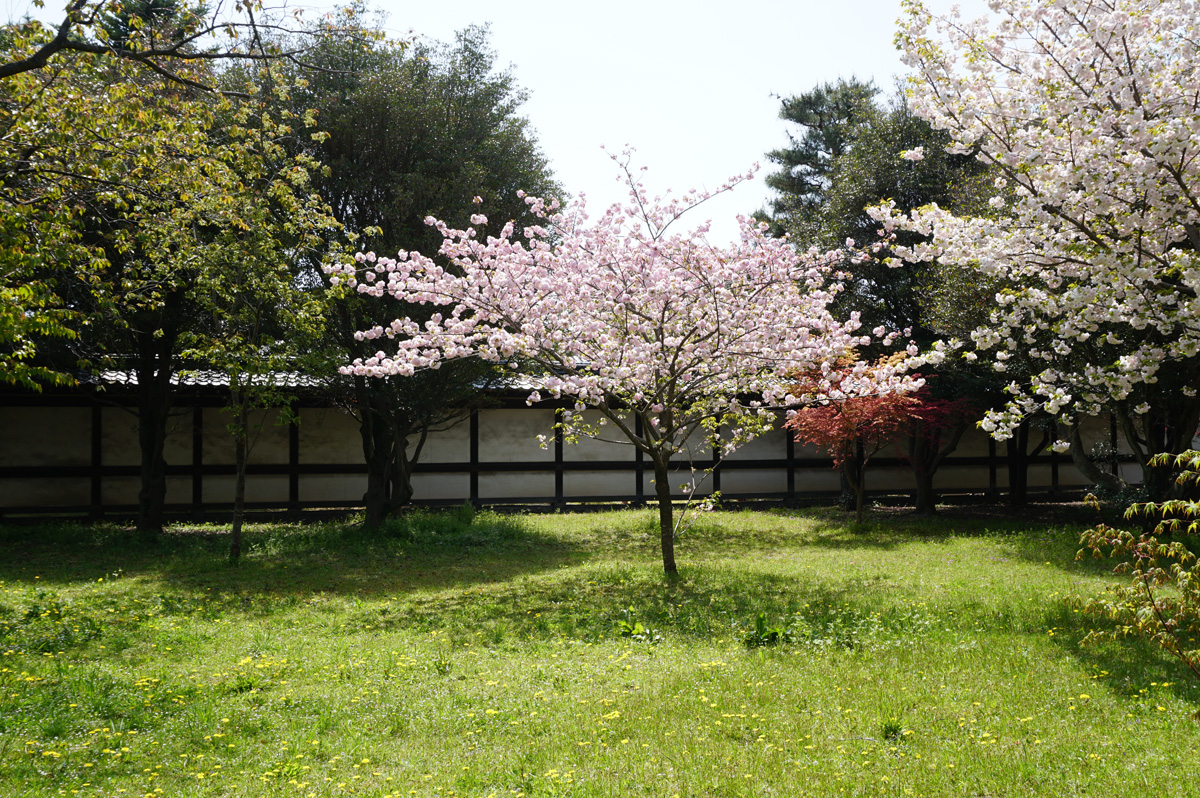 Around Kyoto