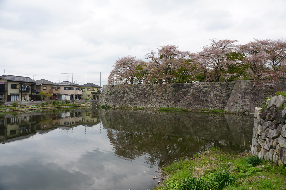 Hikone-jo