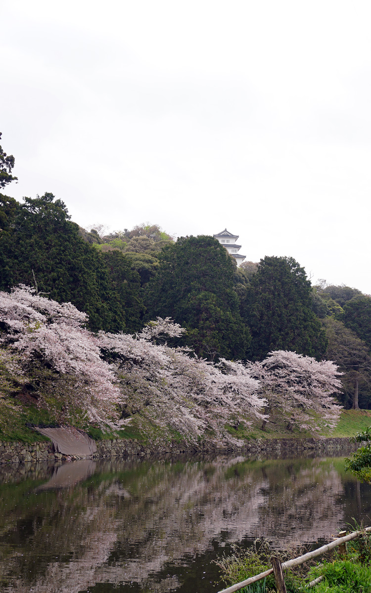Hikone-jo