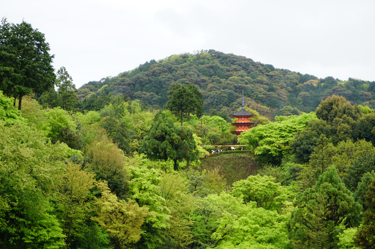 Kyoto: Kiyomizi-Dera Temple